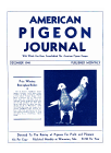 Magazine Cover
